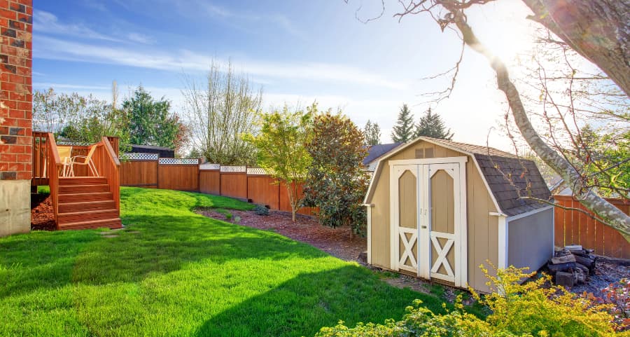 Fenced backyard with storage shed in Wichita Falls